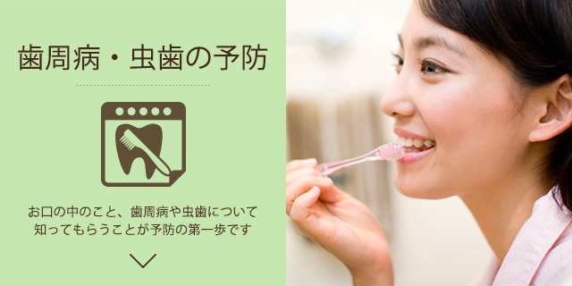 歯周病・虫歯の予防